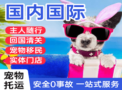 台州路桥航空物流国际宠物托运 【国